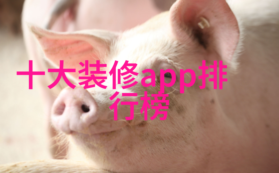 我能想到最浪漫的事就是和你在摇椅上慢慢睡着